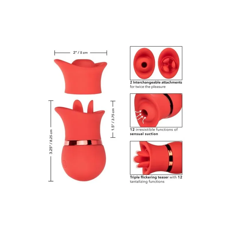 Vibreur et stimulateur à succion Calexotics French Kiss Suck & Play en silicone rose, rechargeable USB, 24 fonctions de plaisir.