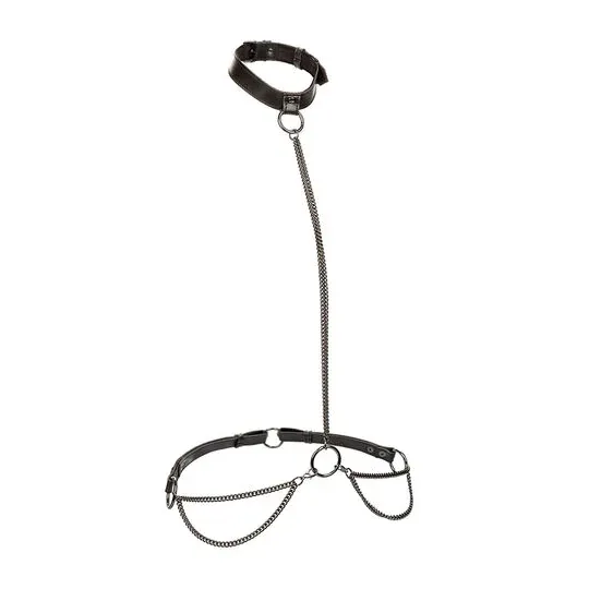 Collare pettorina catena trasformabile CALEXOTICS pelle nera velluto interno fibbia regolabile accessorio BDSM