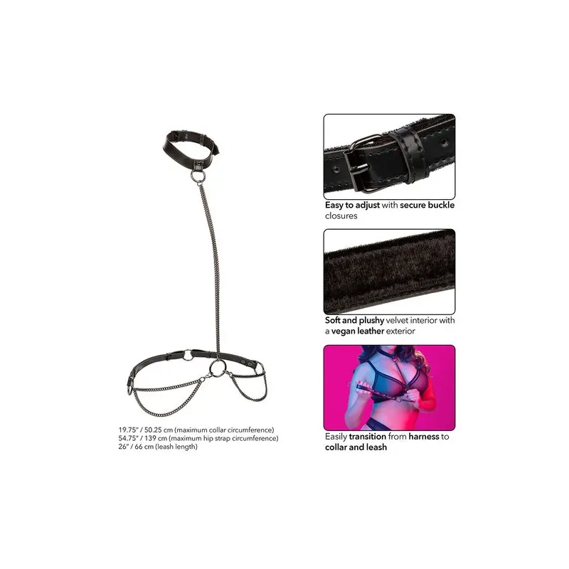 CALEXOTICS Euphoria convertible collar lead large size velvet interior vegan leather black
