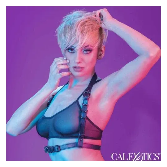 Verstellbarer schwarzer Halftergurt von CalExotics mit weichem Samtinnenfutter und Schnallenverschluss.