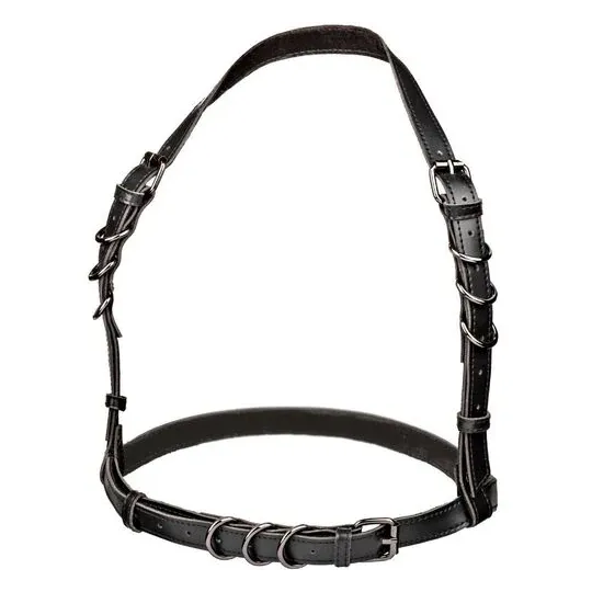 Imbracatura a cavezza regolabile nera CalExotics con interno in velluto e fibbia regolabile per comfort.