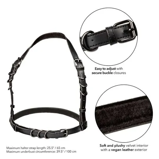 Imbracatura a cavezza regolabile nera CalExotics con interno in velluto e fibbia regolabile per comfort.