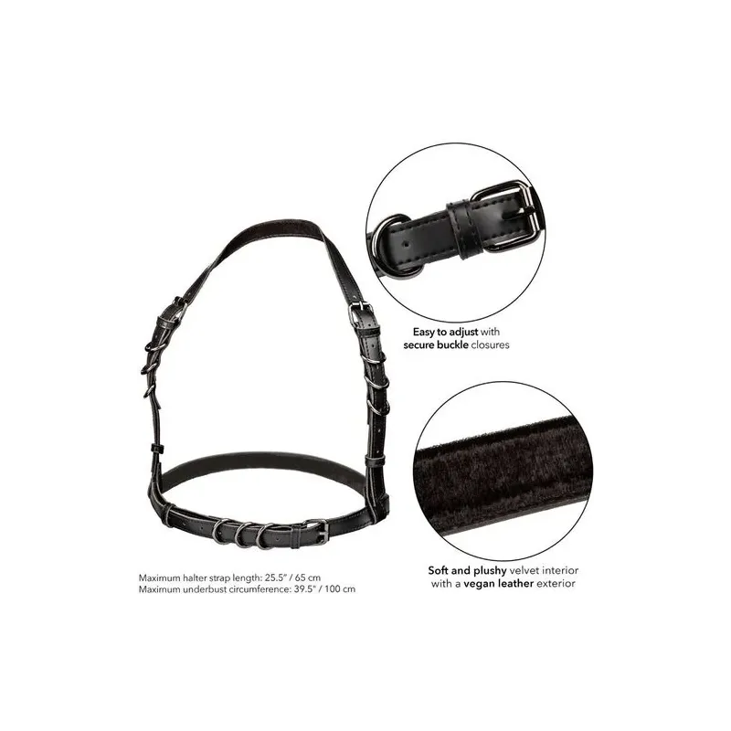 Harnais licou ajustable noir CalExotics avec intérieur velours et boucle réglable pour maintien confortable.