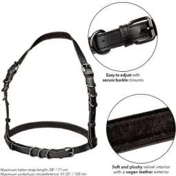 CalExotics Euphoria imbracatura collare taglia grande nero con fibbia regolabile e interno velluto.
