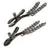 Verstellbare Brustwarzenklemmen Calexotics Euphoria Doppelkette silberfarben 14,5 cm Vorderansicht