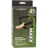 Extensión de pene de silicona 5 cm CalExotics con arnés color piel clara – alargador íntimo para mayor placer