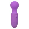 Massageur rechargeable violet CALEXOTICS à cou flexible et 10 modes de vibration pour bien-être.