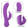 Vibrateur double stimulation rechargeable Calexotics violet avec tige incurvée et stimulateur clitoridien indépendant