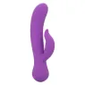 Vibrateur double stimulation rechargeable Calexotics violet avec tige incurvée et stimulateur clitoridien indépendant
