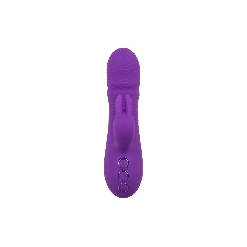 Vibrateur rabbit violet double stimulation silicone CalExotics Manhattan Beach Marvel rechargeable étanche