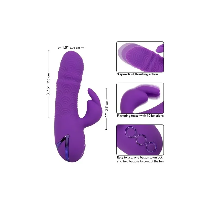 Vibrateur rabbit violet double stimulation silicone CalExotics Manhattan Beach Marvel rechargeable étanche
