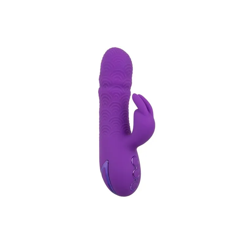Vibrateur rabbit violet double stimulation silicone CalExotics Manhattan Beach Marvel rechargeable étanche