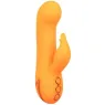 Inflatable rabbit vibrator orange CalExotics – dual silicone stimulator rechargeable