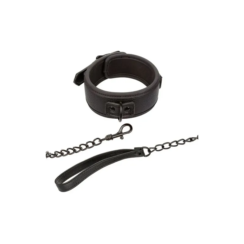 Ensemble collier et laisse en cuir noir réglable Calexotics avec boucle métallique