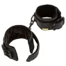 Vue d'ensemble des poignets de contrainte rembourrés CALEXOTICS noirs avec boucles réglables.