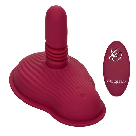D-239391 CALEXOTICS