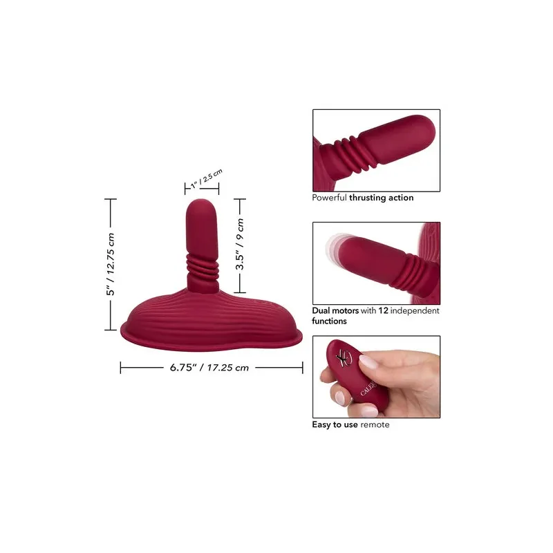 D-239391 CALEXOTICS