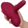 D-239391 CALEXOTICS