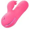 D-239982 CALEXOTICS