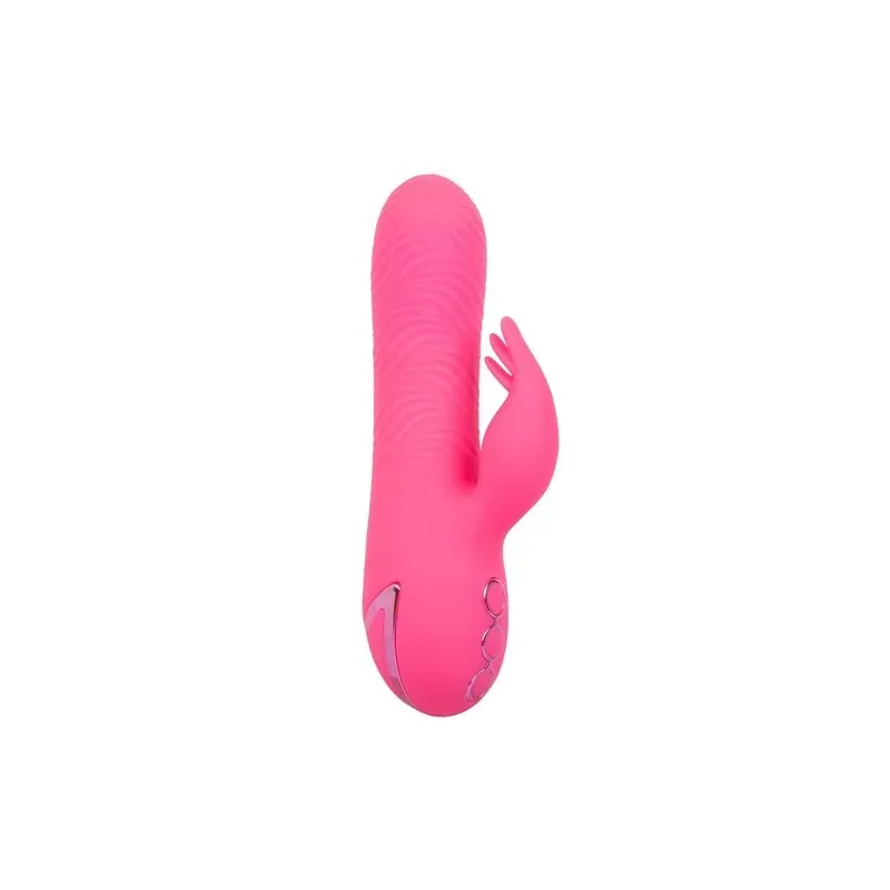 D-239982 CALEXOTICS