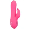 D-239982 CALEXOTICS