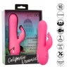 D-239982 CALEXOTICS