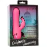 D-239982 CALEXOTICS