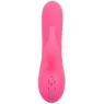 D-239982 CALEXOTICS