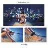 D-243667 CALEXOTICS