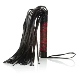 D-243646 CALEXOTICS