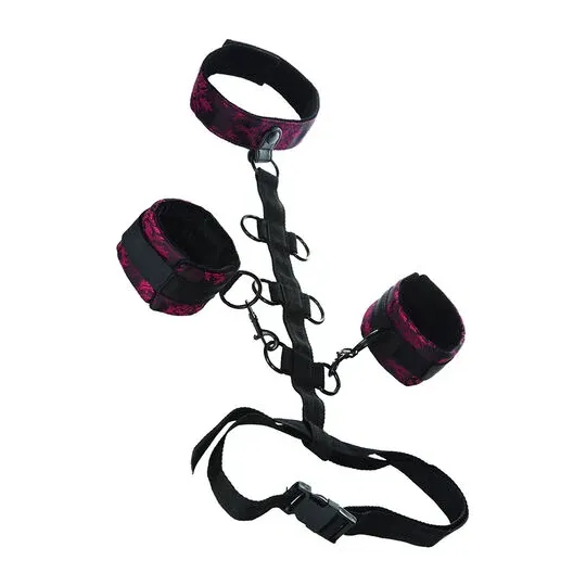 D-243663 CALEXOTICS