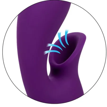 D-239401 CALEXOTICS