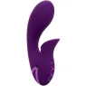 D-239401 CALEXOTICS