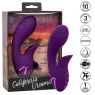 D-239401 CALEXOTICS
