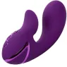 D-239401 CALEXOTICS