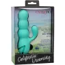D-239402 CALEXOTICS