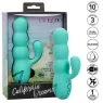D-239402 CALEXOTICS