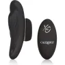 D-223292 CALEXOTICS