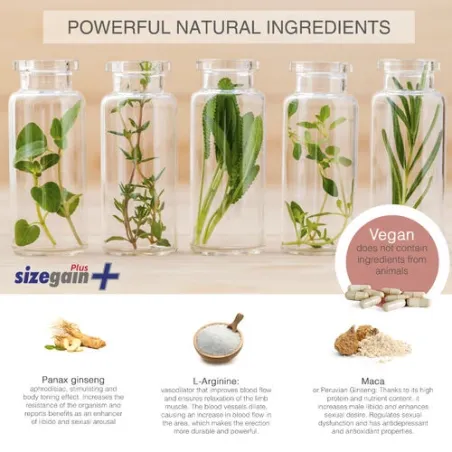 SizeGain Plus 500 Cosmetics : boîte de 30 comprimés pour augmentation naturelle du pénis