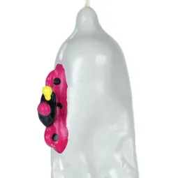 D-243289 CONDOMERIE