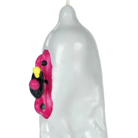 D-243289 CONDOMERIE