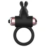 D-225736 COQUETTE TOYS