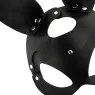 D-226923 COQUETTE ACCESSORIES