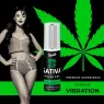 D-227317 COQUETTE COSMETICS
