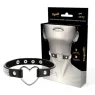 D-229289 COQUETTE ACCESSORIES