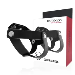 D-221250 DARKNESS SENSATIONS