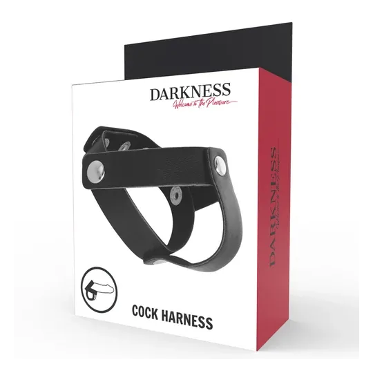 D-221250 DARKNESS SENSATIONS