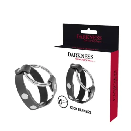 D-226734 DARKNESS BONDAGE