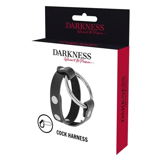 D-226734 DARKNESS BONDAGE
