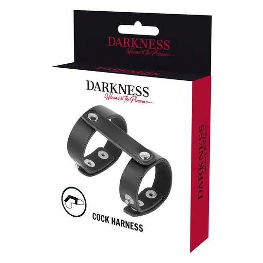 D-226731 DARKNESS BONDAGE